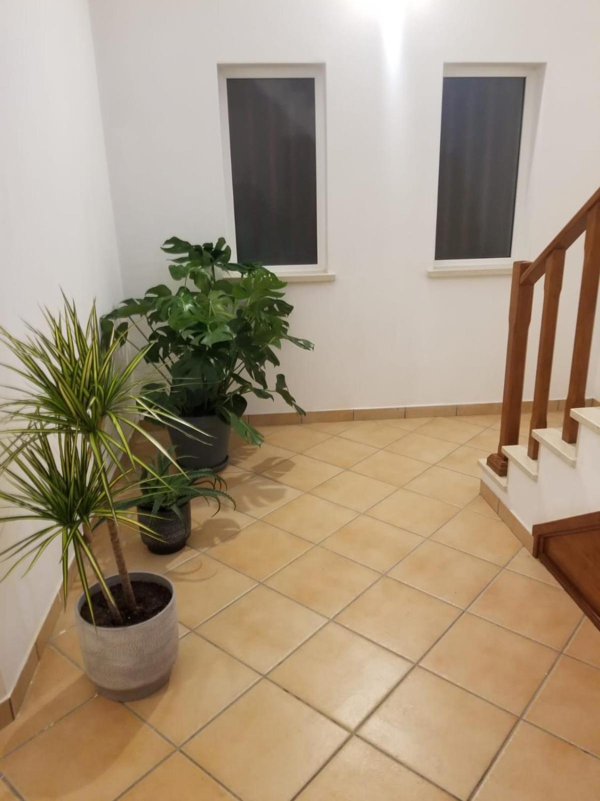 Le Parisien 1 Apartment Serra d'El-Rei Bagian luar foto